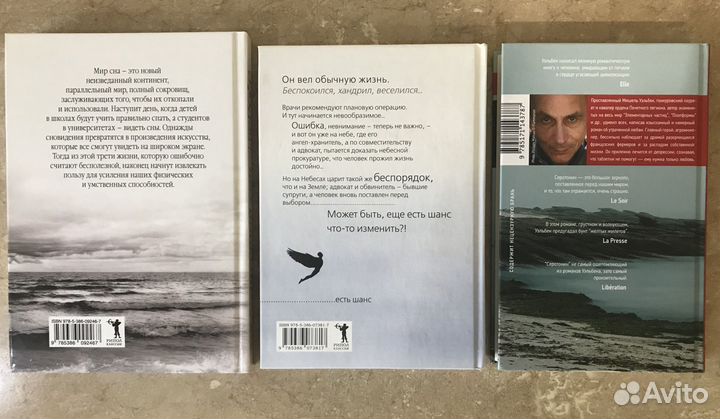 Мишель Уэльбек