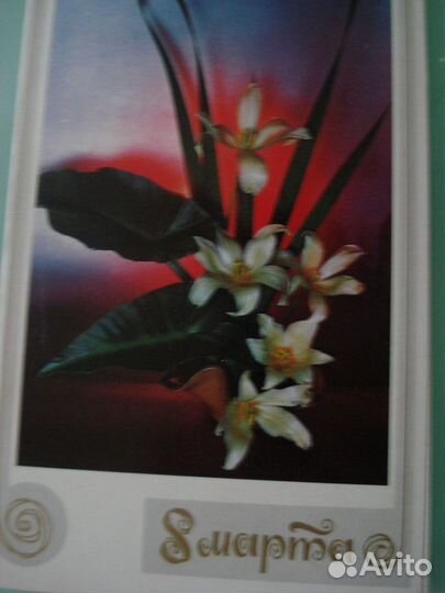 Старинные антиквар.фото и открытки СССР цветы