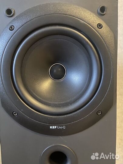 Kef q10 полочная акустика