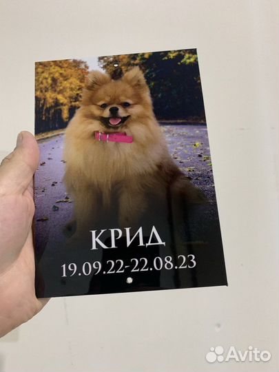 Ритуальная табличка для животных