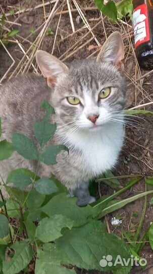 Настоящий пацан