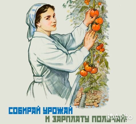 Работник теплиц вахта