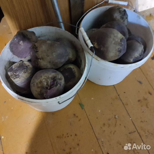 Продам картошку и свёклу