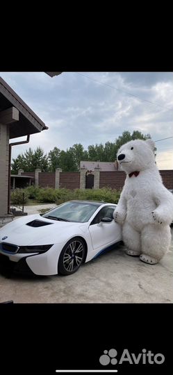 Поздравление от белого медведя, ростовая кукла