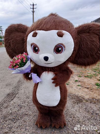 Экспресс поздравление аниматор