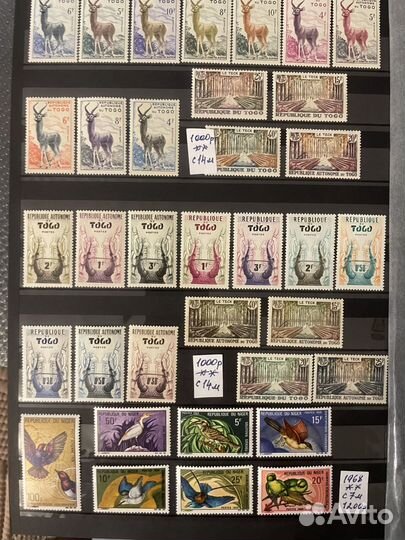 Флора,фауна