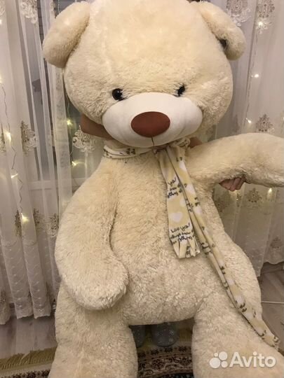 Плюшевый медведь