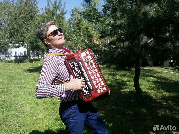 Профессиональный баянист