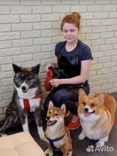 Грумер,стрижка,экспресс-линька