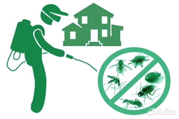 Дезинсекция клопов, тараканов, блох, осы шершни
