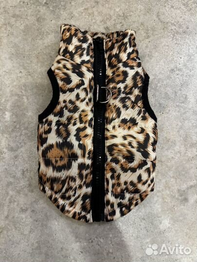 Теплая одежда для собак мелких пород