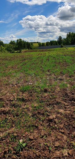 Участок 35 сот. (СНТ, ДНП)