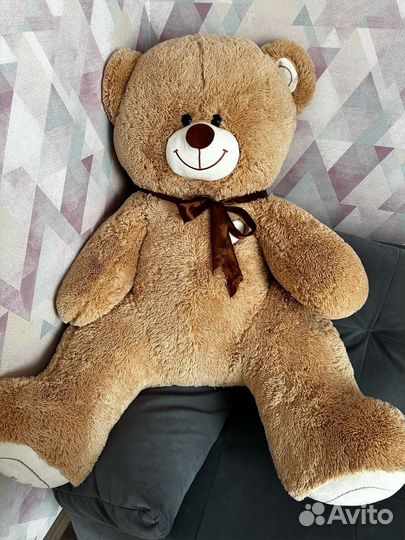 Продам медведя