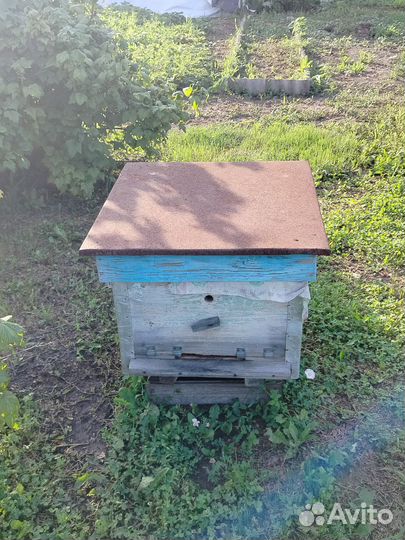 Улий для пчел б. у