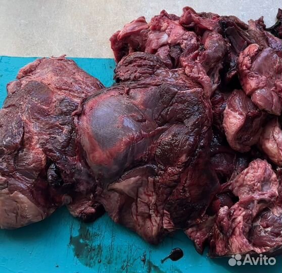 Обрезь говяжья для собак