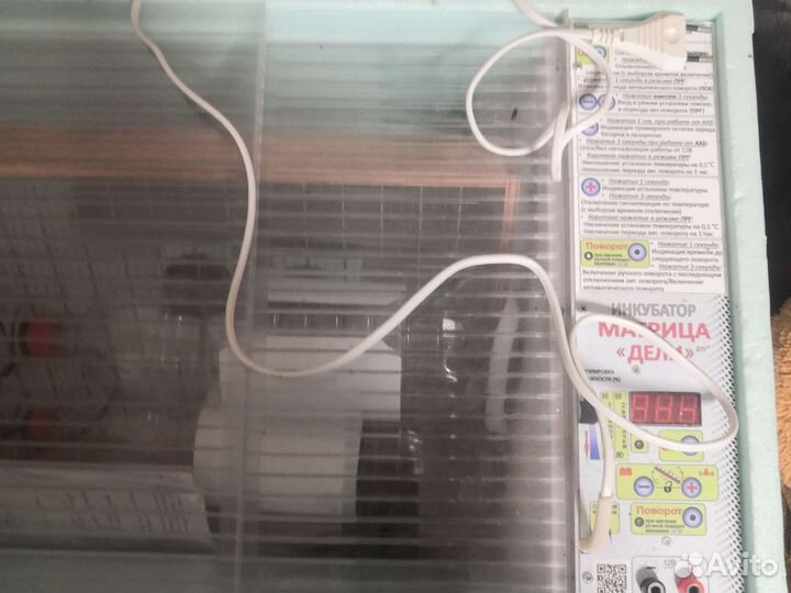 Автоматический инкубатор