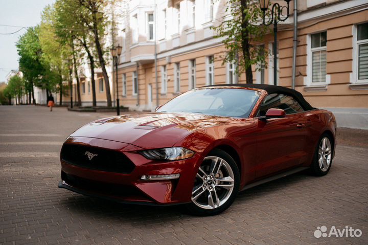 Ford Mustang, 2019