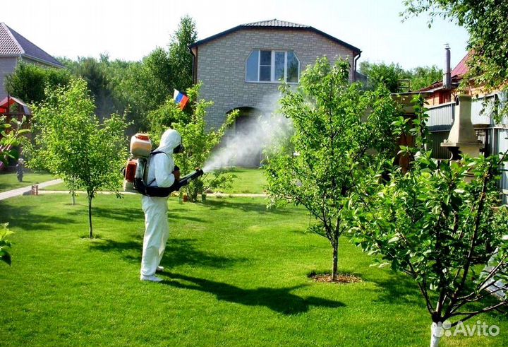 Уничтожение клопов тараканов грызунов блох клещей