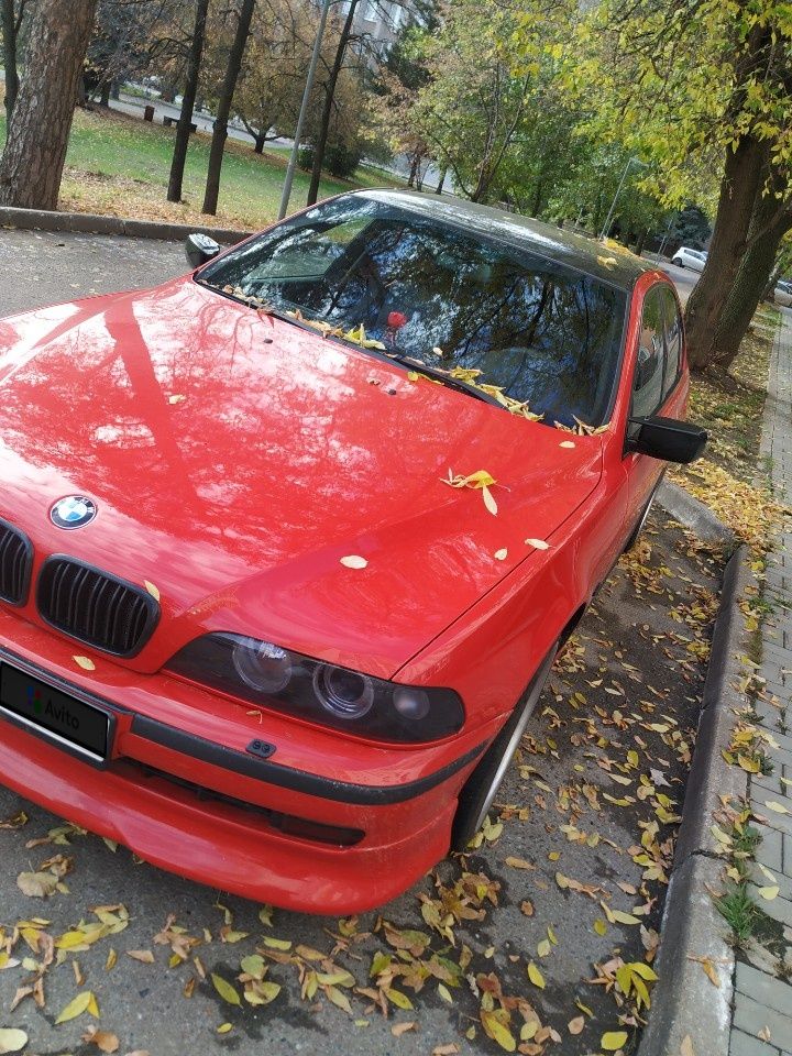 BMW 5 серия: фото владельца