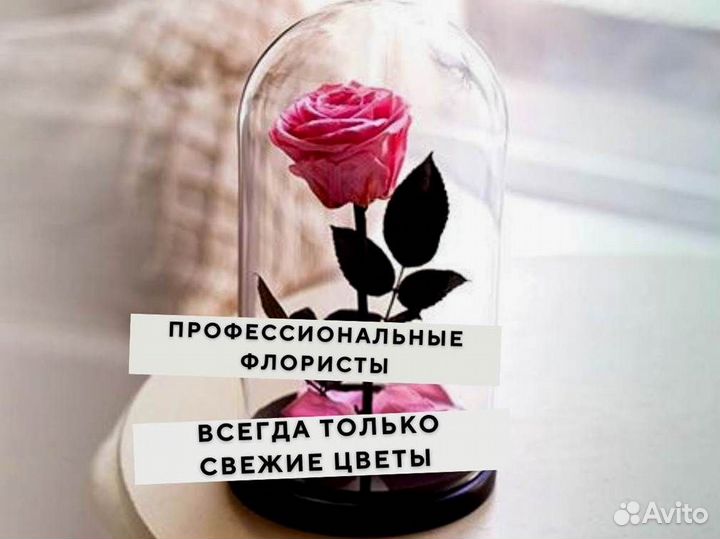 Розы в колбе разные