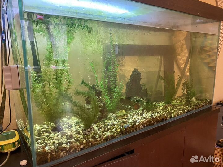 Аквариум