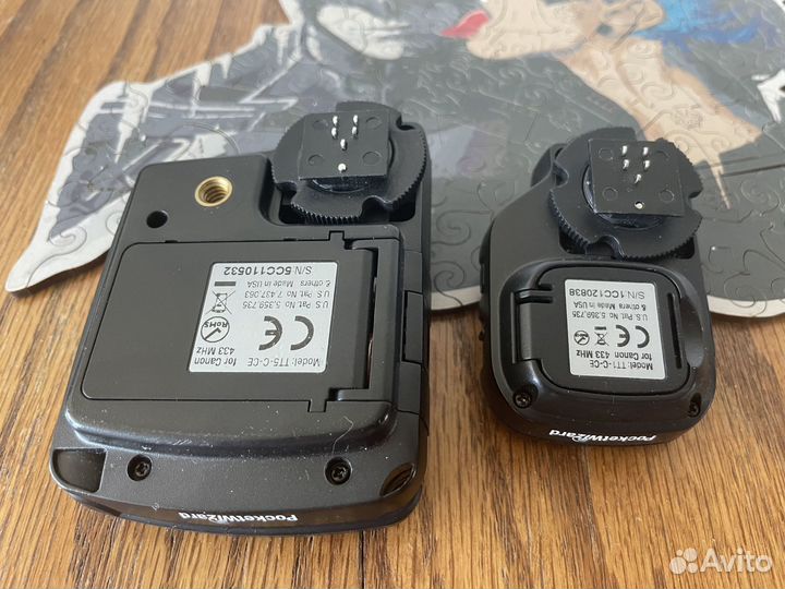 PocketWizard Flex TT5 и Mini TT1 (Canon)