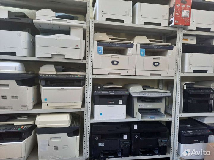 Принтеры для малых и больших офисов