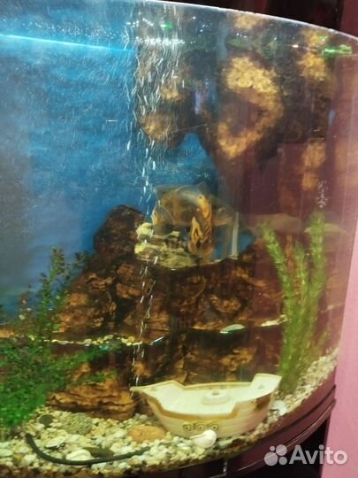 Акриловый Аквариум с тумбой