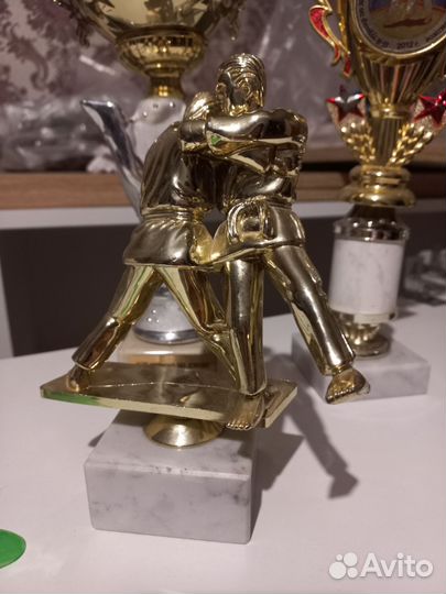Кубки наградные по Дзюдо