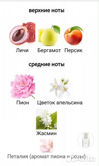 Fleur Narcotique Ex Nihilo