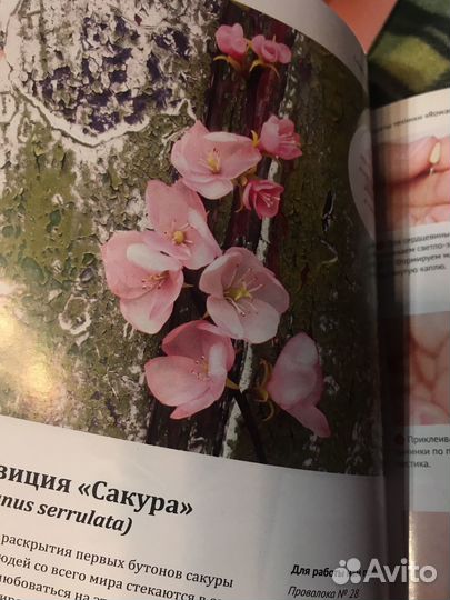 Реалистичные цветы из полимерной глины