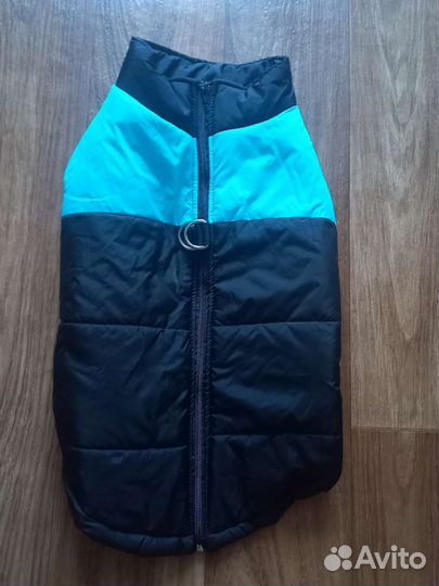 Одежда для собак