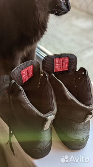 Мотокеды Inflame