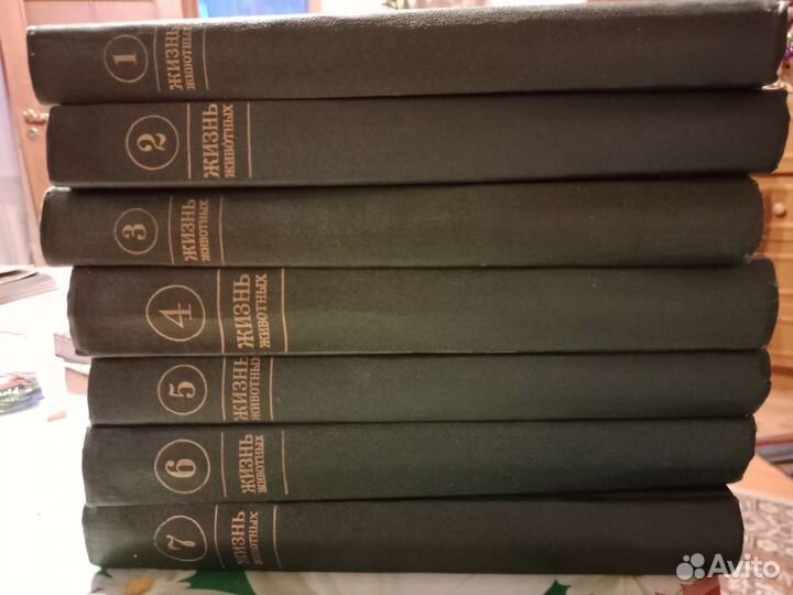 Мир животных