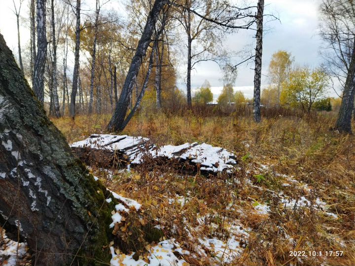 Участок 9 сот. (ИЖС)