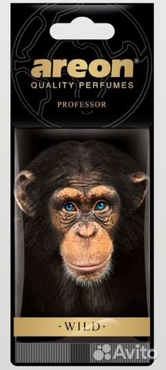 Ар Ареон wild П 704-AW-04 -Professor 