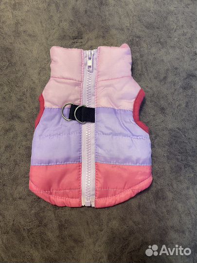 Жилетка и носочки для маленькой собачки