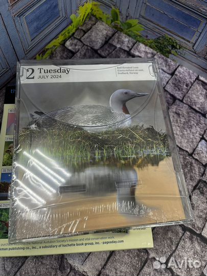 Календарь на каждый день 2024 Audubon Nature