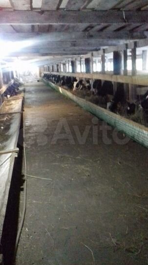 Дом 70 м² на участке 40 сот.