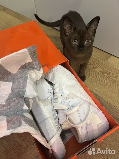 Nike Sacai X Blazer Low White Patent (оригинал)