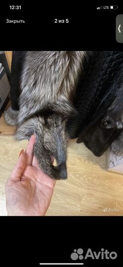 Шуба из чернобурки