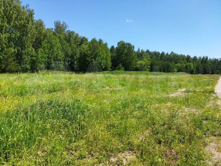 Участок 16 сот. (ИЖС)