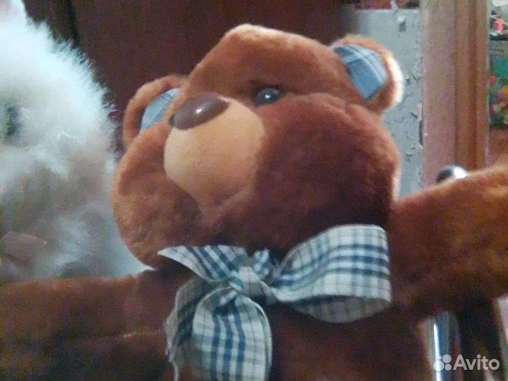 Кот и медведь