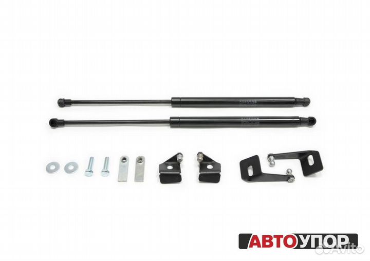 Газовые Упоры Капота Mitsubishi Lancer 10 2007