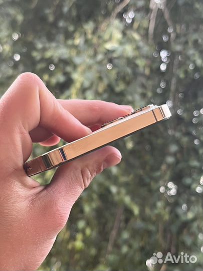 iPhone 12 Pro Max Gold