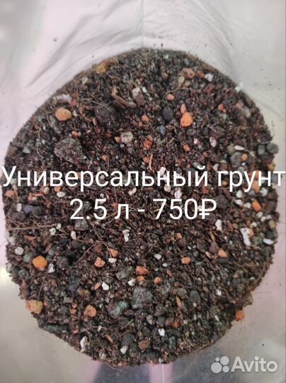 Готовые минеральный и универсальный грунты