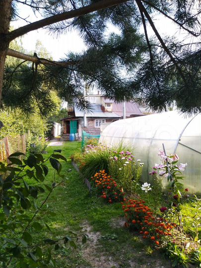 Дом 54 м² на участке 15 сот.