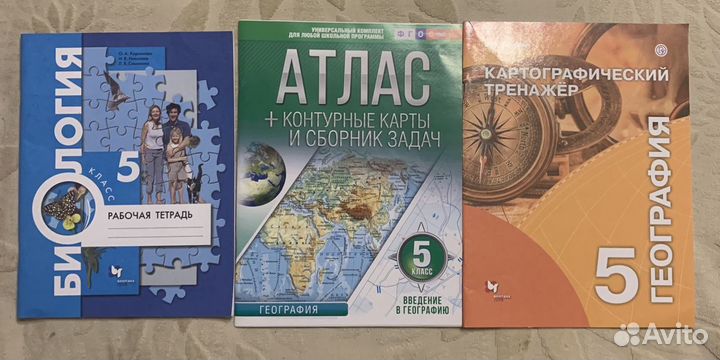 Рабочие тетради 5 класс