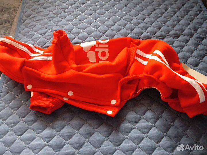 Комбинезон для собак