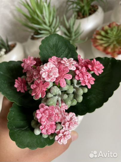 Суккуленты искусственная зелень